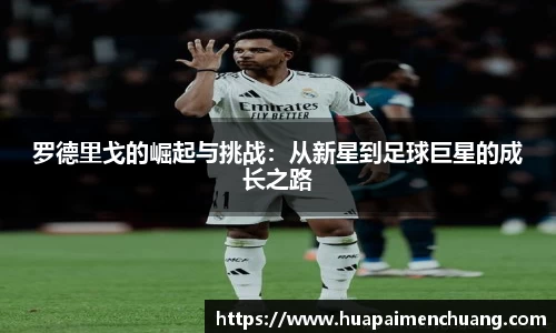 雷火电竞官方网站入口